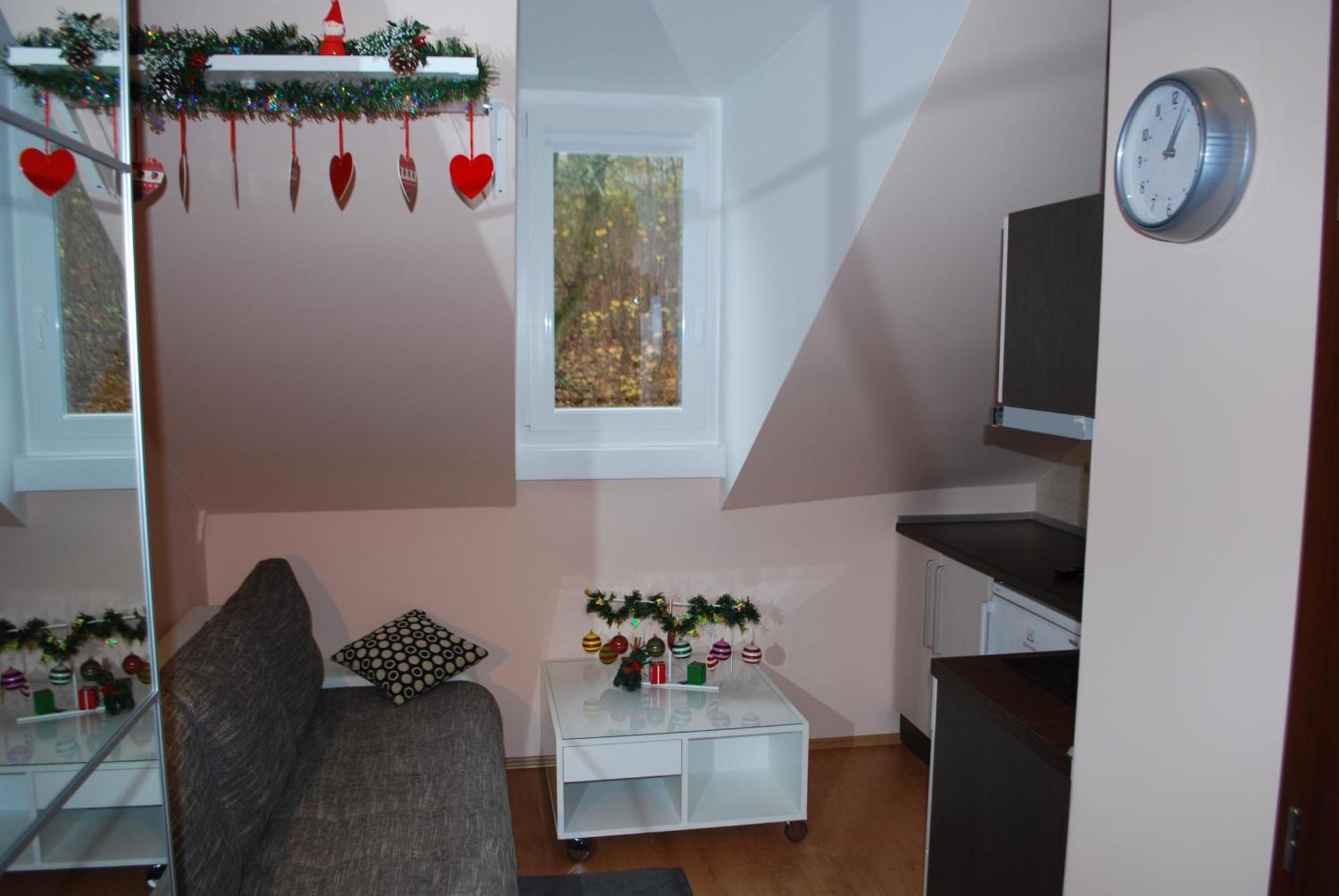 Jurincom Apartments Карловы Вары Номер фото